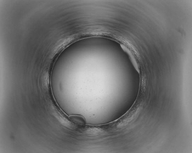 X0000112480397200908241259