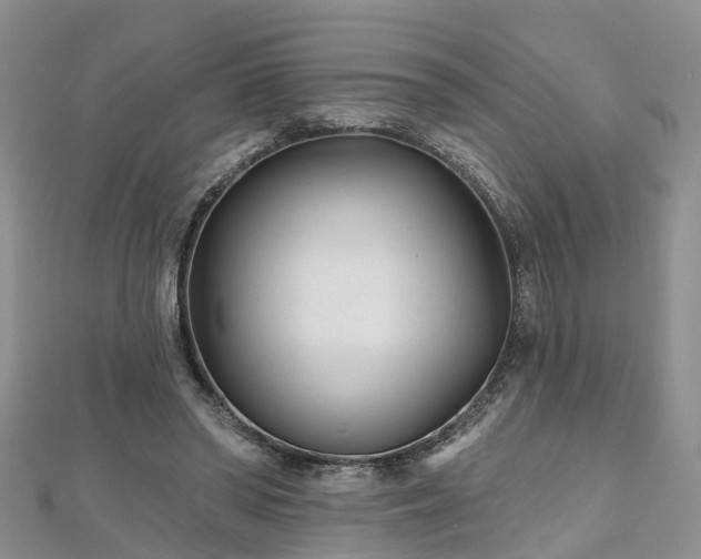 X0000112480398200908241259