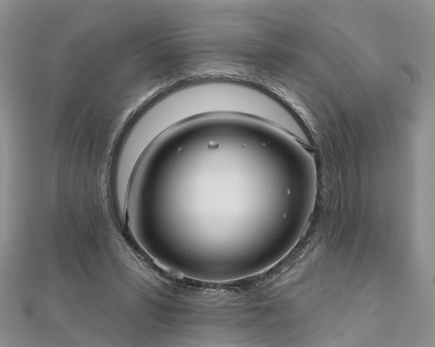 X0000112480399200908241259