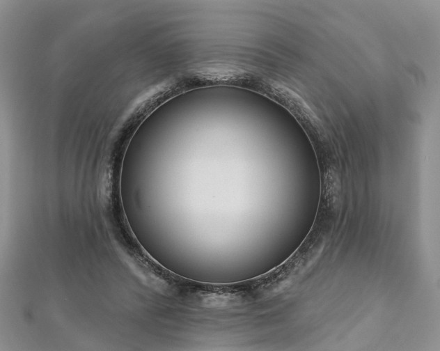 X0000112480400200908241259