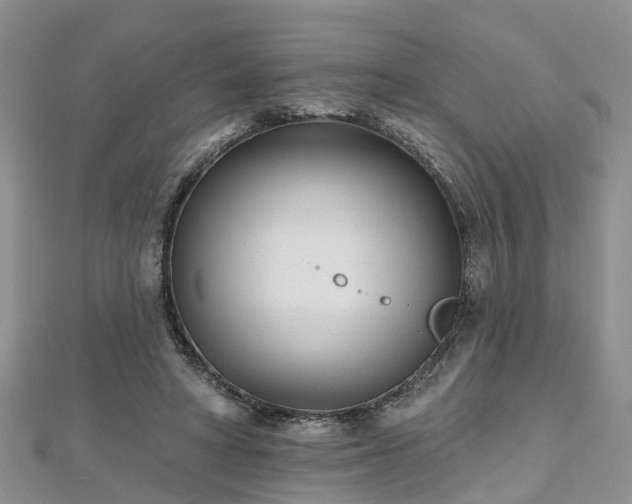 X0000112480402200908241259