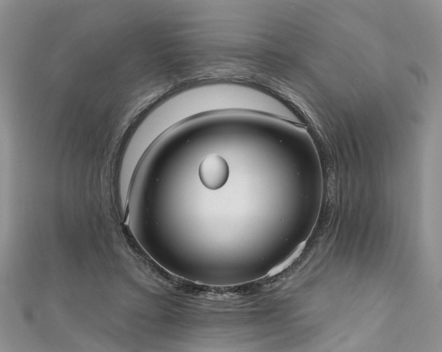 X0000112480403200908241259