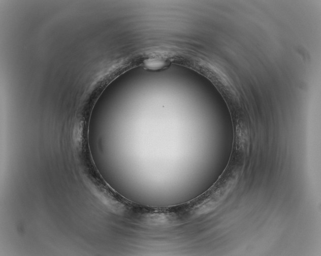 X0000112480404200908241259