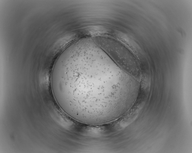 X0000112480405200908241259