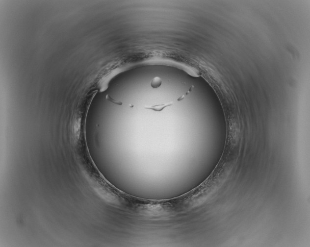 X0000112480406200908241259