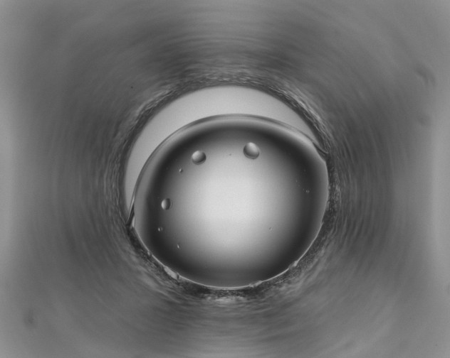 X0000112480407200908241259