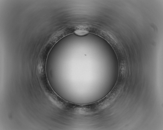 X0000112480408200908241259