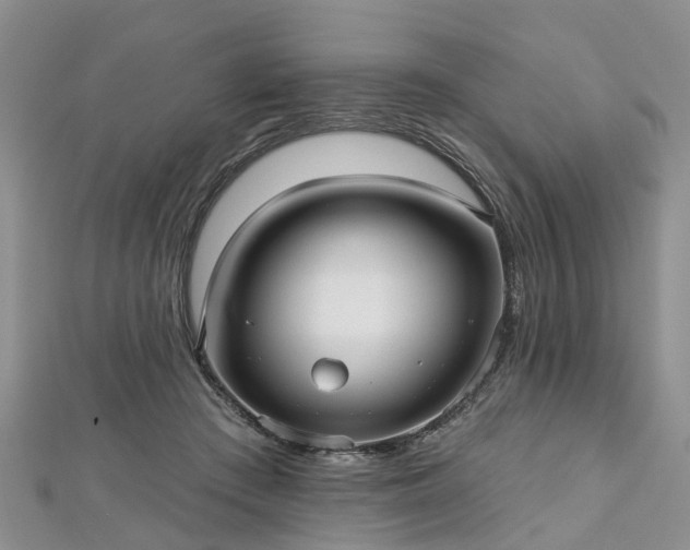 X0000112480409200908241259