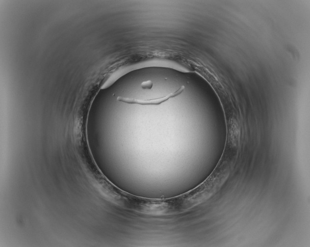 X0000112480410200908241259