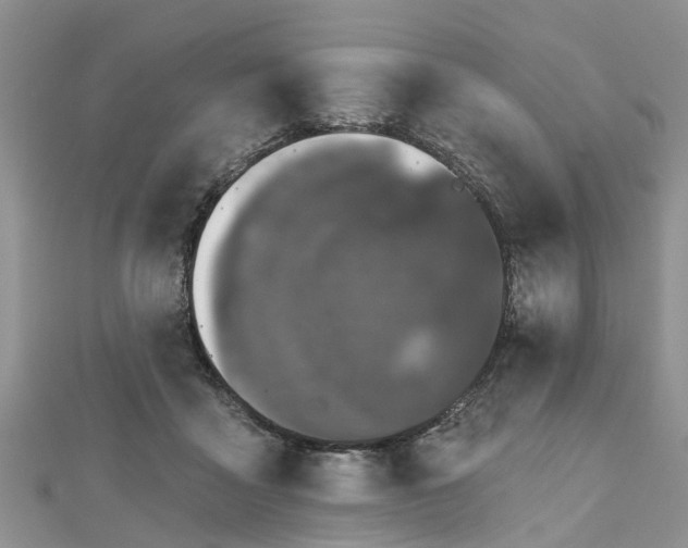 X0000112480411200908241258