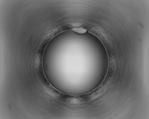 X0000112480412200908241258