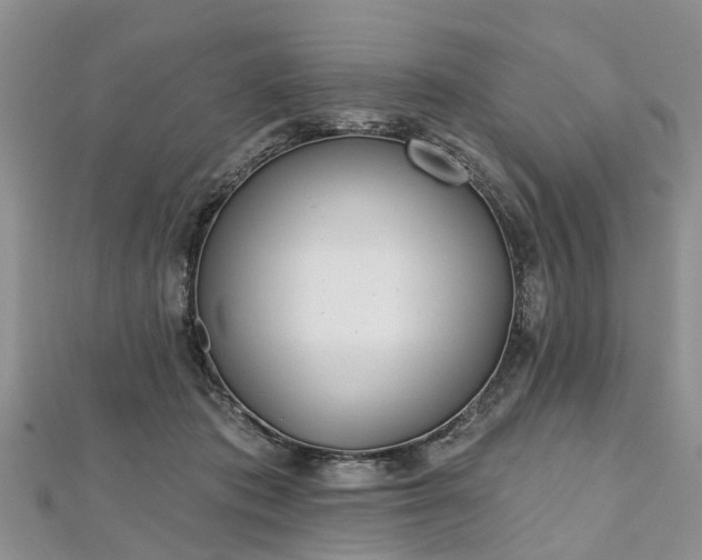 X0000112480413200908241258