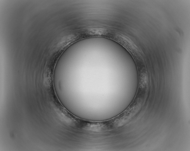 X0000112480414200908241258