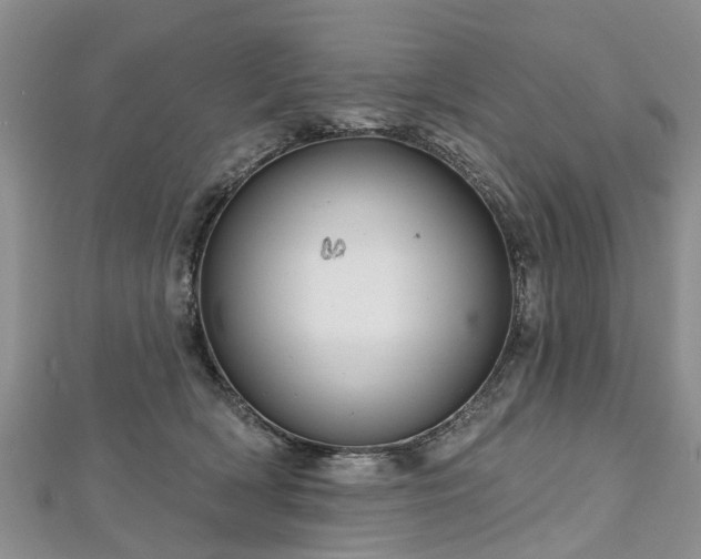 X0000112480418200908241258