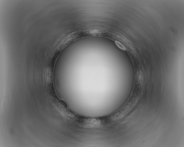 X0000112480421200908241258