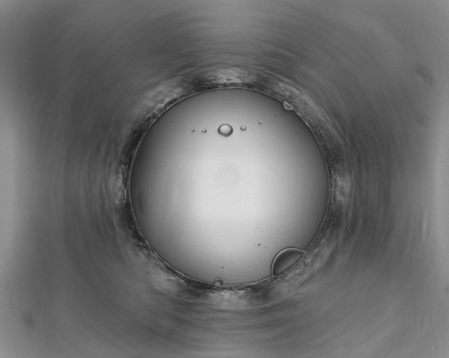 X0000112480422200908241258