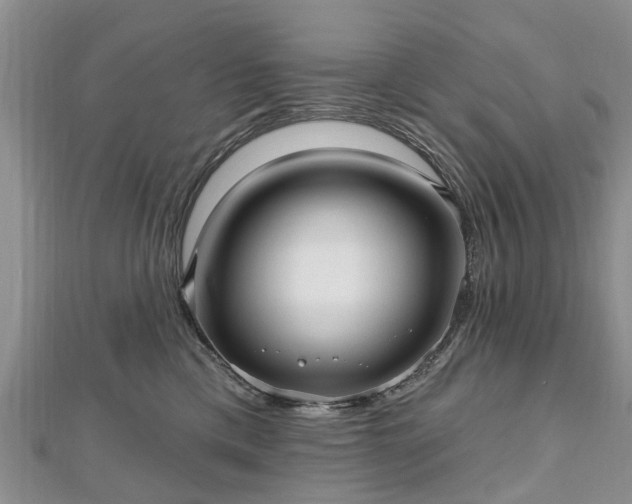 X0000112480425200908241258