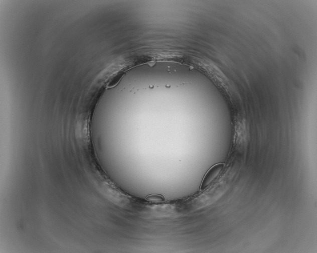 X0000112480426200908241258