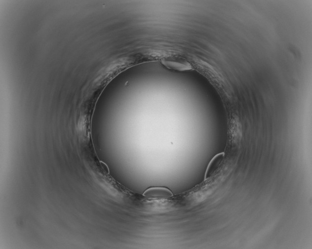 X0000112480428200908241258