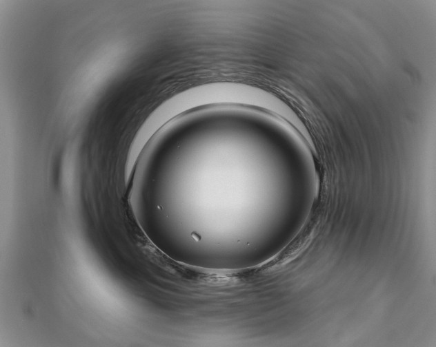 X0000112480429200908241258