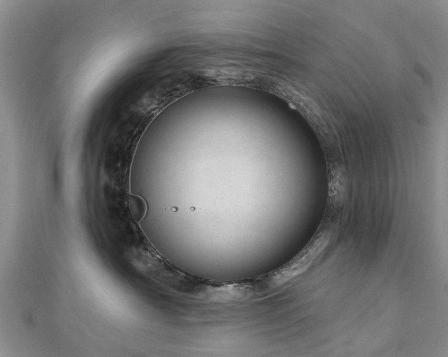 X0000112480430200908241258