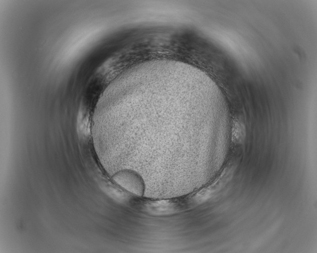 X0000112480431200908241258