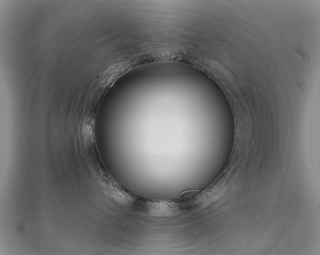 X0000112480432200908241258