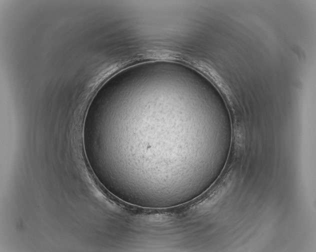 X0000112480433200908241258