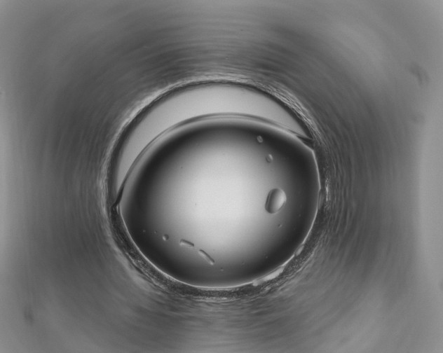 X0000112480436200908241258