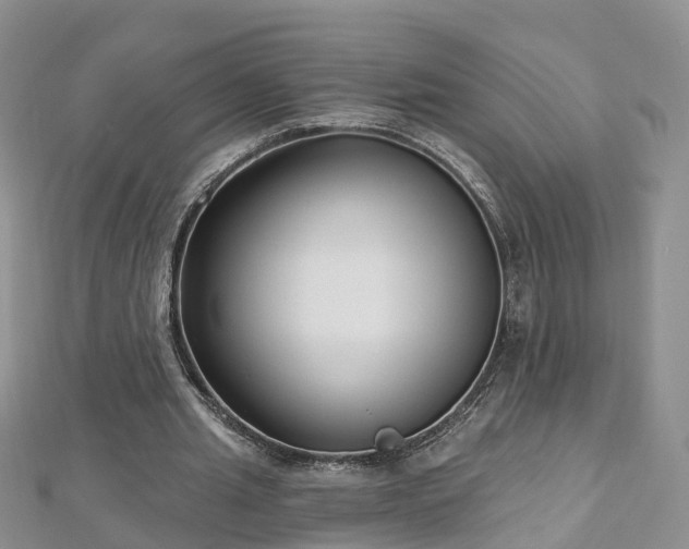 X0000112480437200908241258