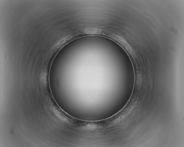 X0000112480441200908241258