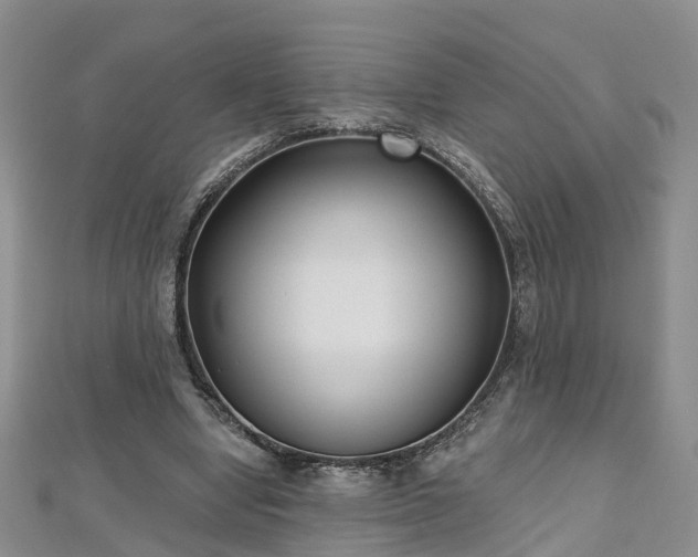 X0000112480442200908241258