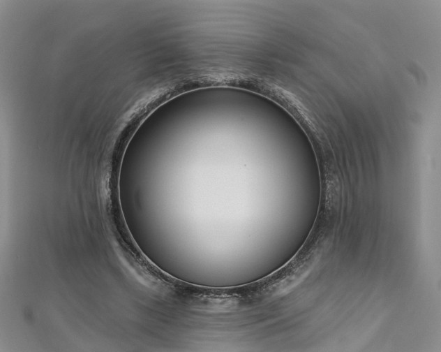 X0000112480443200908241258