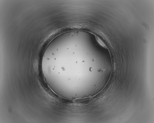 X0000112480444200908241258