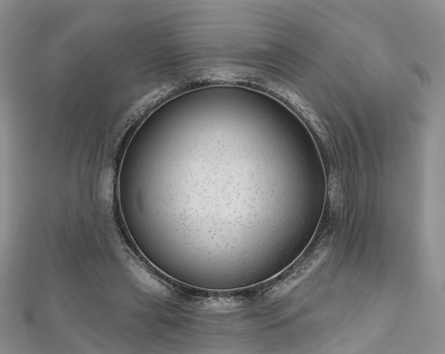 X0000112480445200908241258