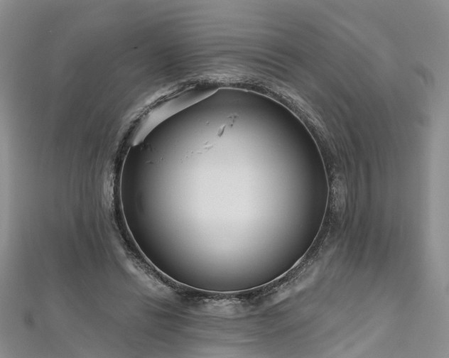 X0000112480446200908241258