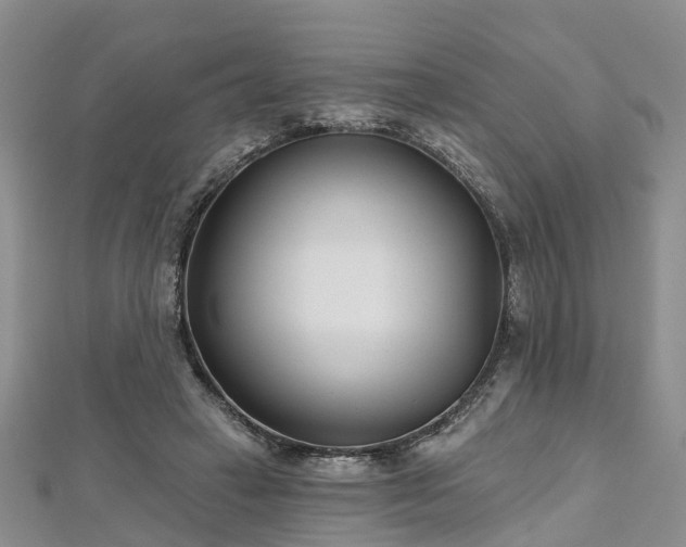 X0000112480449200908241258