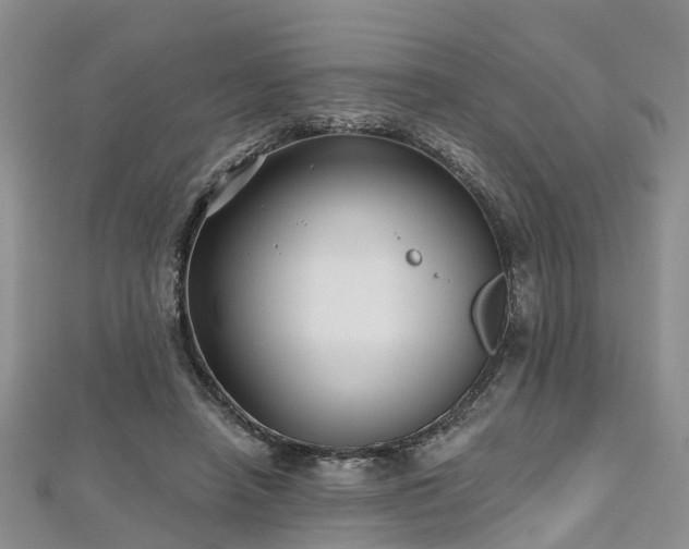 X0000112480450200908241258