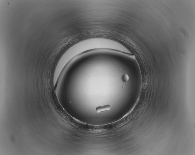 X0000112480452200908241258