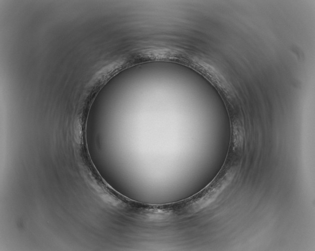 X0000112480453200908241258