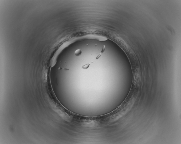 X0000112480454200908241258