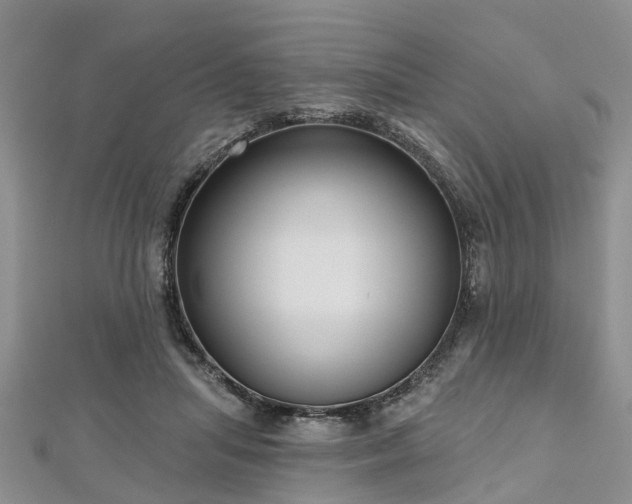 X0000112480455200908241258