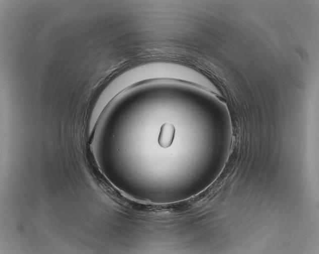 X0000112480456200908241258