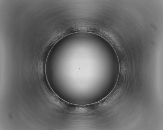 X0000112480457200908241258