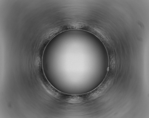 X0000112480459200908241258