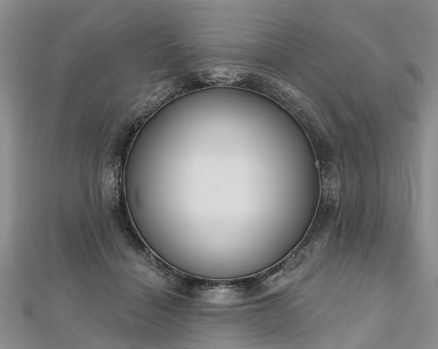 X0000112480460200908241258