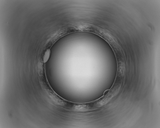 X0000112480461200908241258