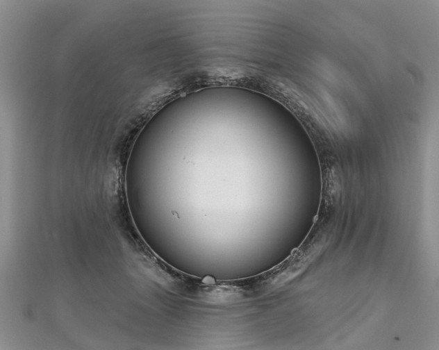 X0000112480463200908241258