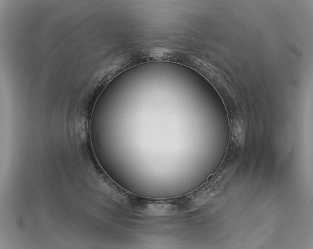 X0000112480470200908241258