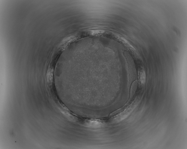 X0000112480475200908241258